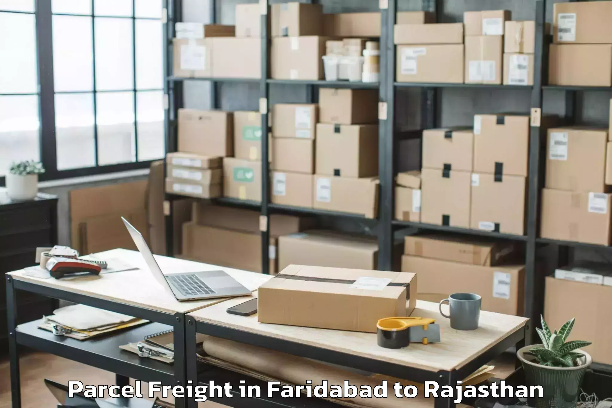 Reliable Faridabad to Raisingh Nagar Parcel Freight